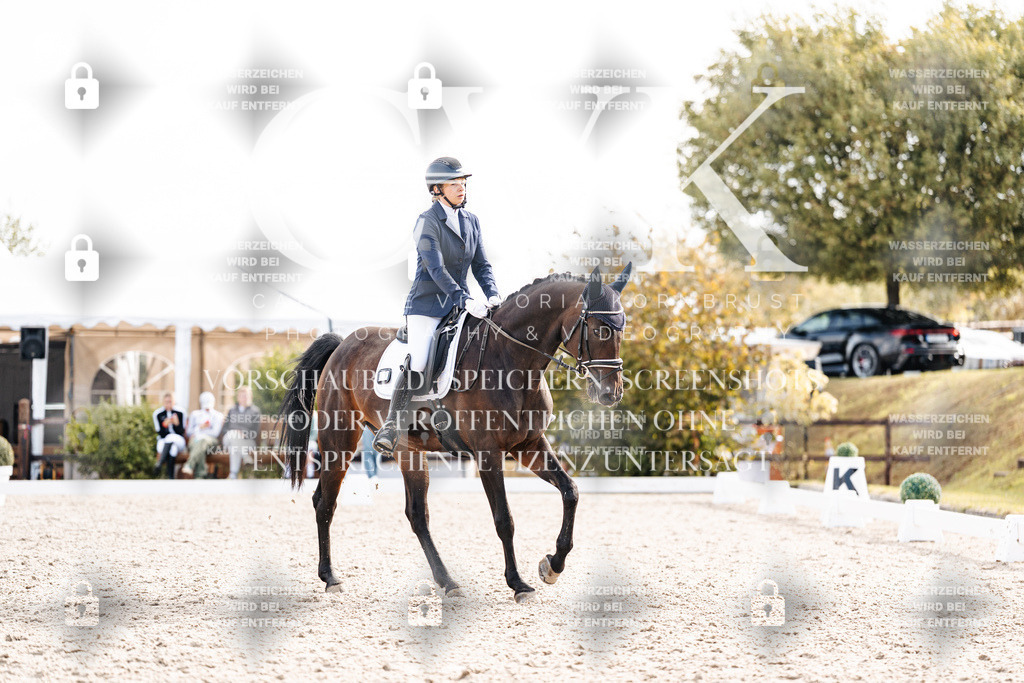 CK901492 | Turnierfotografie Pferdefotografie Trier Rheinland-Pfalz Pferdesport Reitsport Tierfotografie Sportfotografie Pferdevideo Pferdevideografie Equestrianvideography equestrianphotography  - Realisiert mit Pictrs.com