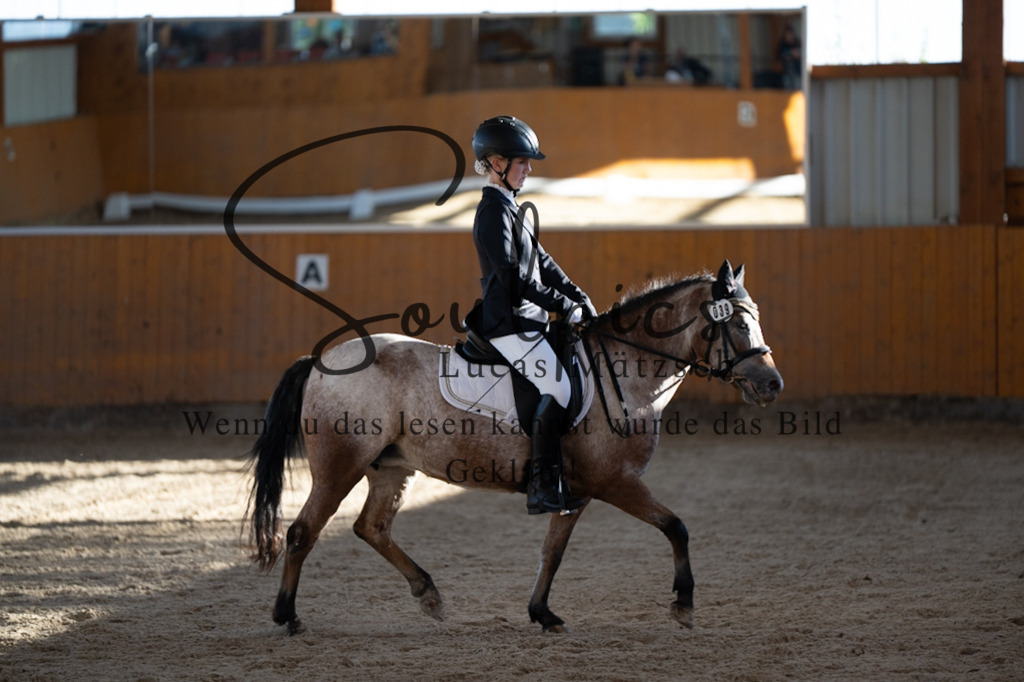 A7V01692 | Pferdefotograf