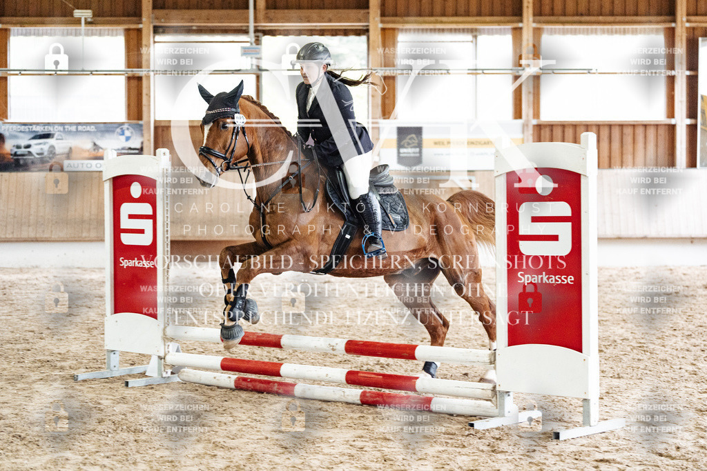 CK902869 | Turnierfotografie Pferdefotografie Trier Rheinland-Pfalz Pferdesport Reitsport Tierfotografie Sportfotografie Pferdevideo Pferdevideografie Equestrianvideography equestrianphotography  - Realisiert mit Pictrs.com