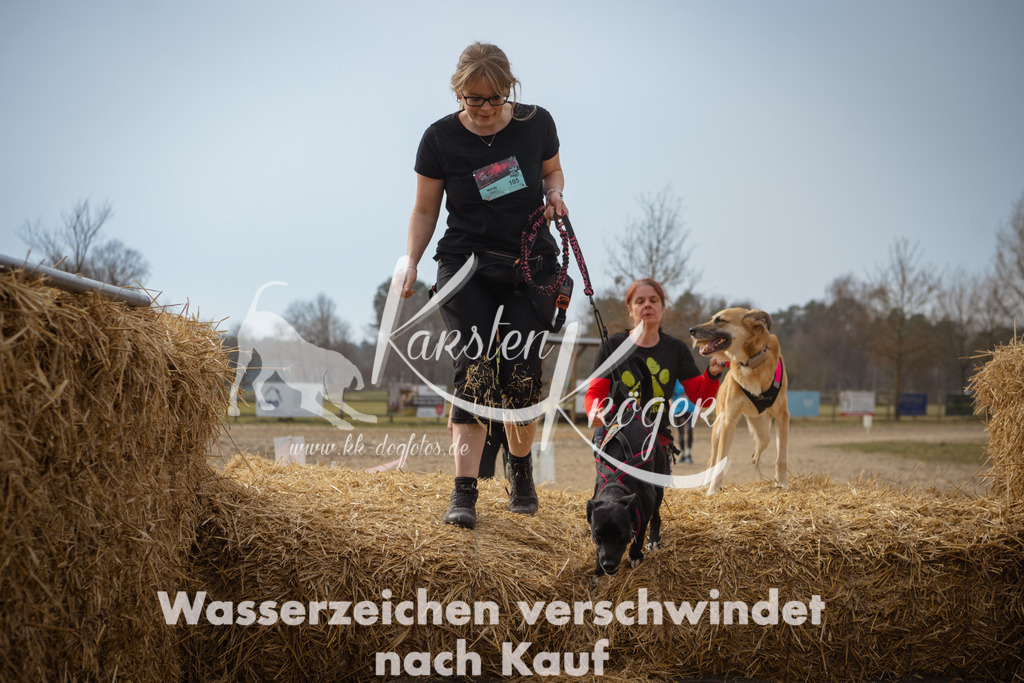 1133_ZZ94247 | kk-dogfotos