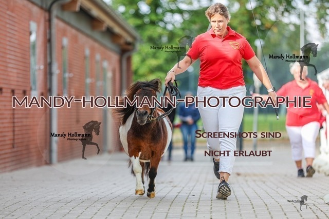 1-3 | mandyhollmannphotographie