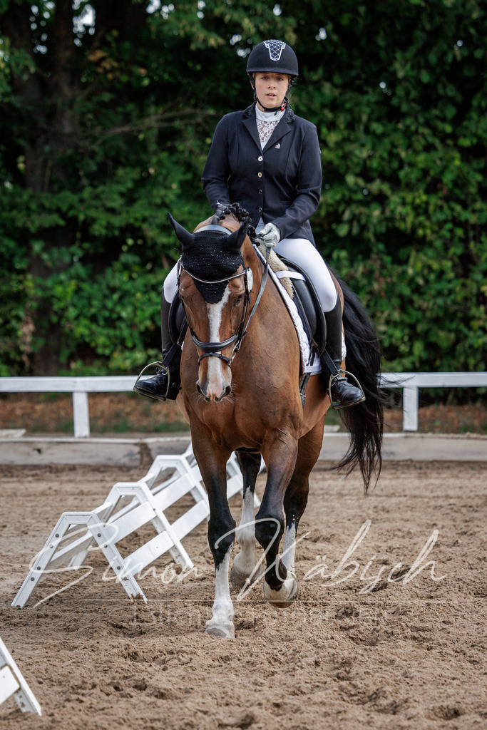 20260905-_3LI7660 | Tierfotografie Pferde, Hunde, Katzen, Haustiere.
Turnierfotografie Reitturniere, Reiten, Springreiten, Dressur in Hanau, dem Main-Kinzig-Kreis und dem Rhein-Main- Gebiet um Frankfurt