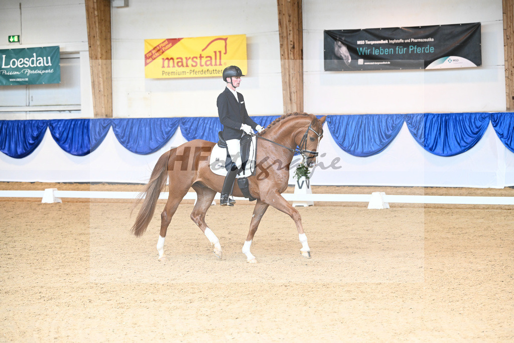 Kat-Nr. 66 Falcon Crest_Freund_14240865 | hf-fotografie - Realisiert mit Pictrs.com