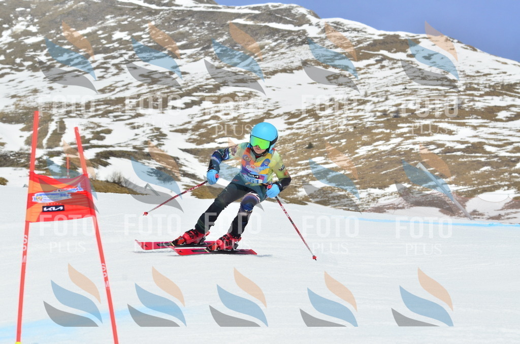 _ELE2868 | holidayphoto