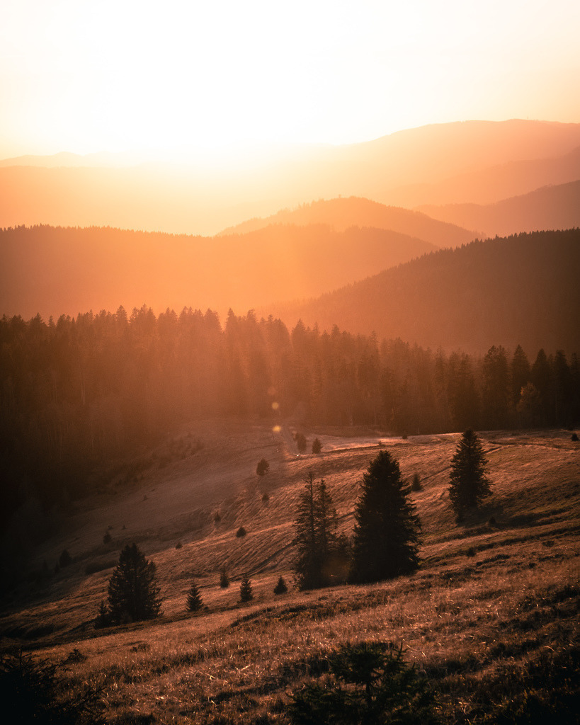 Herbstlicher Hochschwarzwald | Spätherbst im Hochschwarzwald mit Blick vom Herzogenhorn über den Südschwarzwald - Realisiert mit Pictrs.com