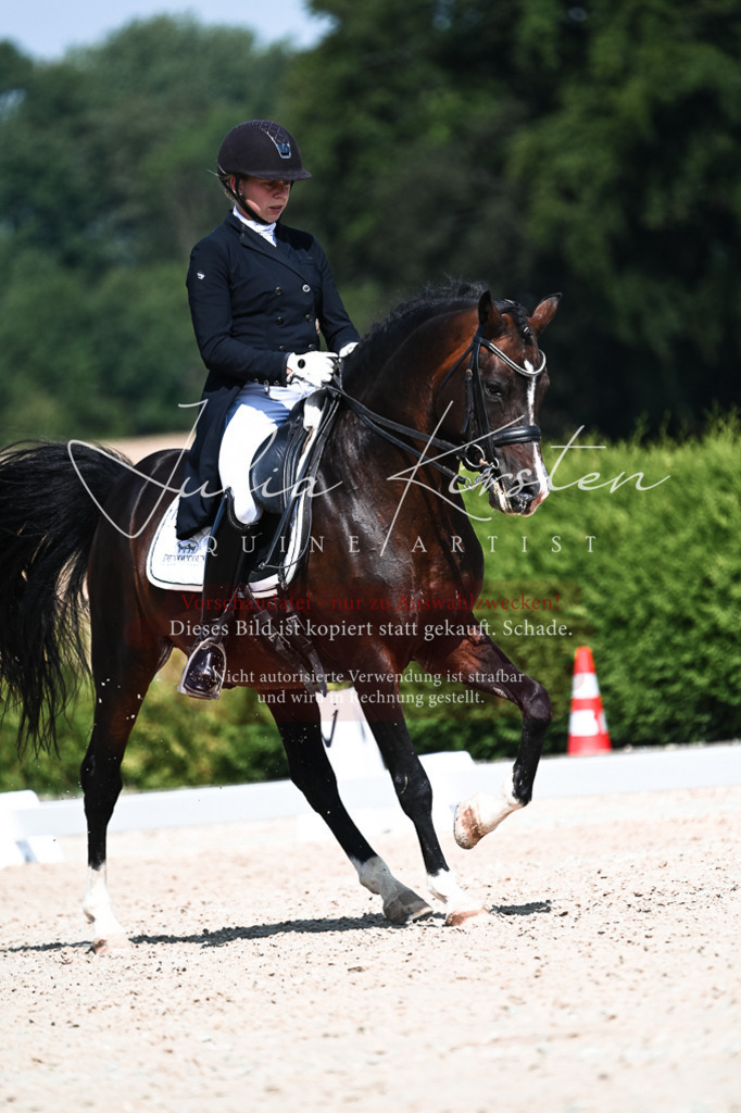 DSC_2953 | Pferde- und Turnierfotografie in Westsachsen. Pferdeportraits, Auftragszeichnungen und intuitive Kunst.