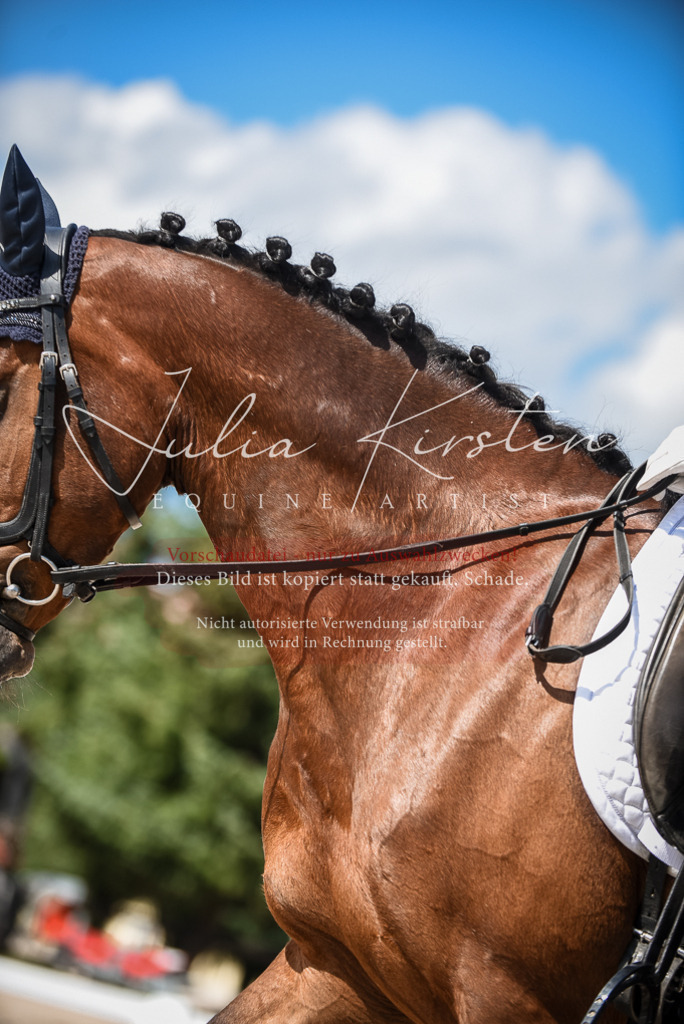 DSC_9446 | Pferde- und Turnierfotografie in Westsachsen. Pferdeportraits, Auftragszeichnungen und intuitive Kunst.