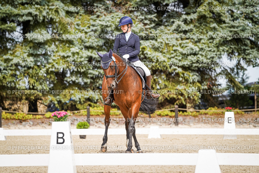 DSC05200 | Pferdegrafie