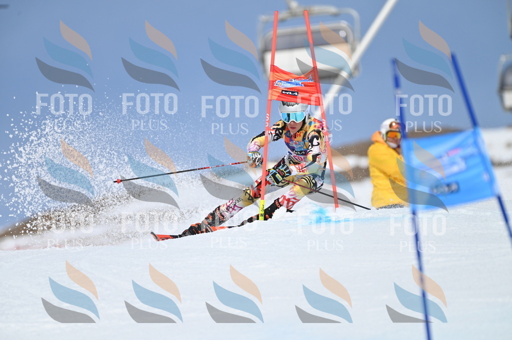 BGV_1047 | holidayphoto