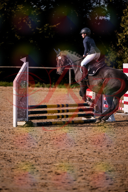 2026_10_03_Siefer-Hof_160043_Z81_81322198 | Professionelle Reitsport-, Turnier- und Eventfotografie von Robert Broda. Galerien mit ausgewählten und bearbeiteten Bildern direkt online ansehen und bestellen.