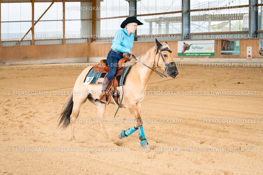 DSC02310 | Pferdegrafie