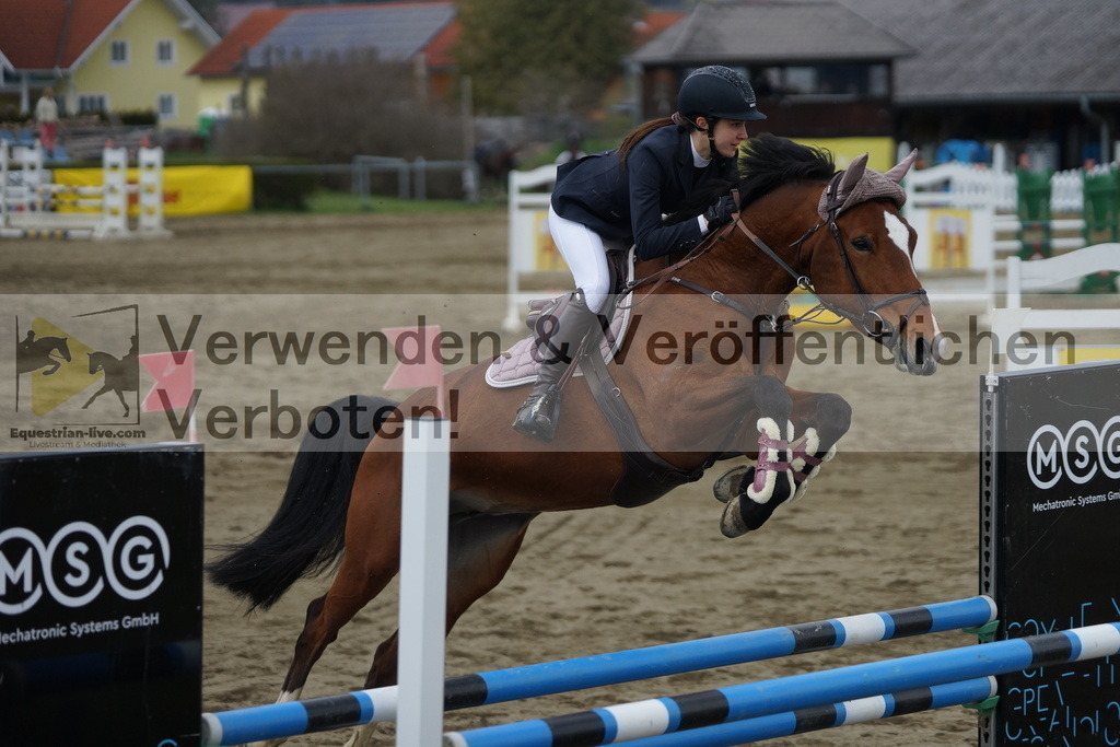 DSC01309 | equestrian-live-com