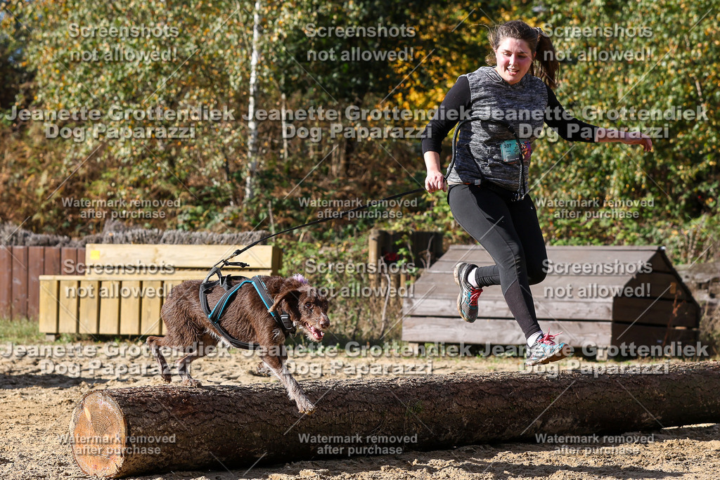 Dog Paparazzi - Strongdog 10-25-4907 | Dog Paparazzi Jeanette Grottendiek Fotografie & Videografie - Realisiert mit Pictrs.com