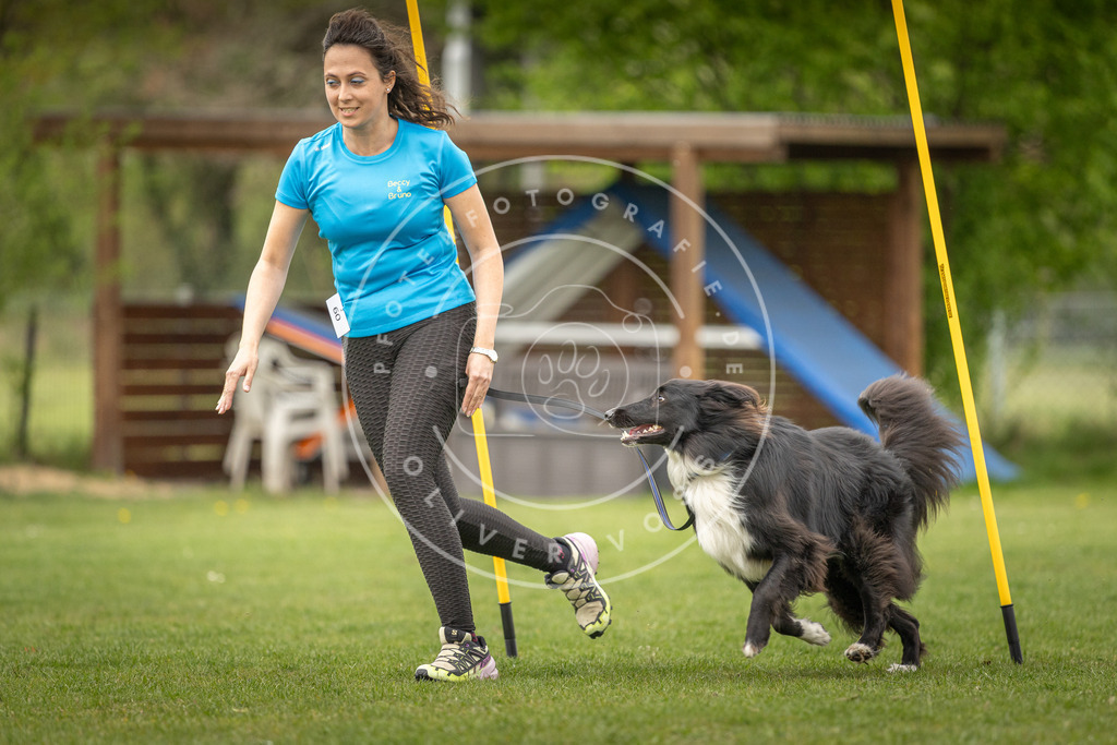 Pfotenfotografie_DV3A1674 | Hundefotografie, Tierfotograf, Pfotenfotografie, Fotoshooting Hund, Hunde Portrait, Hundesport, Hundeportraits, Heideshooting, Hunde, Sportfotograf, Hundefotograf, Turnierhundsport, THS,  - Realisiert mit Pictrs.com
