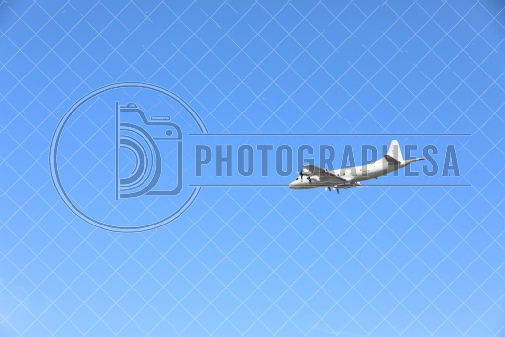 IMG_8801 | photographesa-joergens - Realisiert mit Pictrs.com