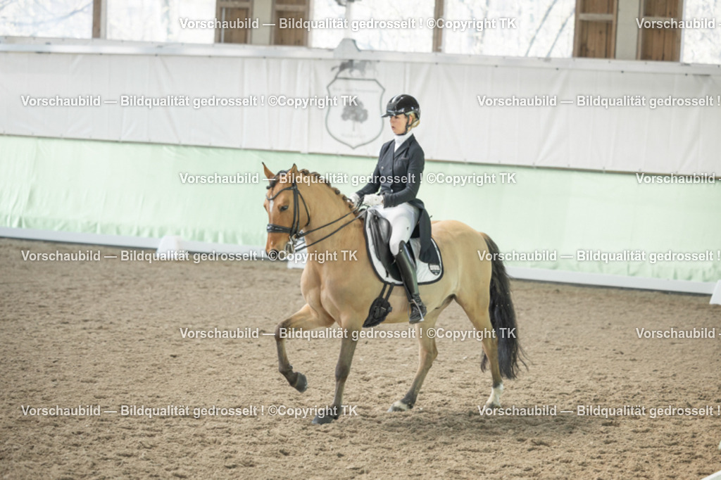 _D5A1786 | Emotionale Pferde- & People-Fotografie rund um Heidelberg, Leimen & Umgebung. Natürliche Fotos von Pferd, Mensch & Familie. Jetzt Termin sichern!