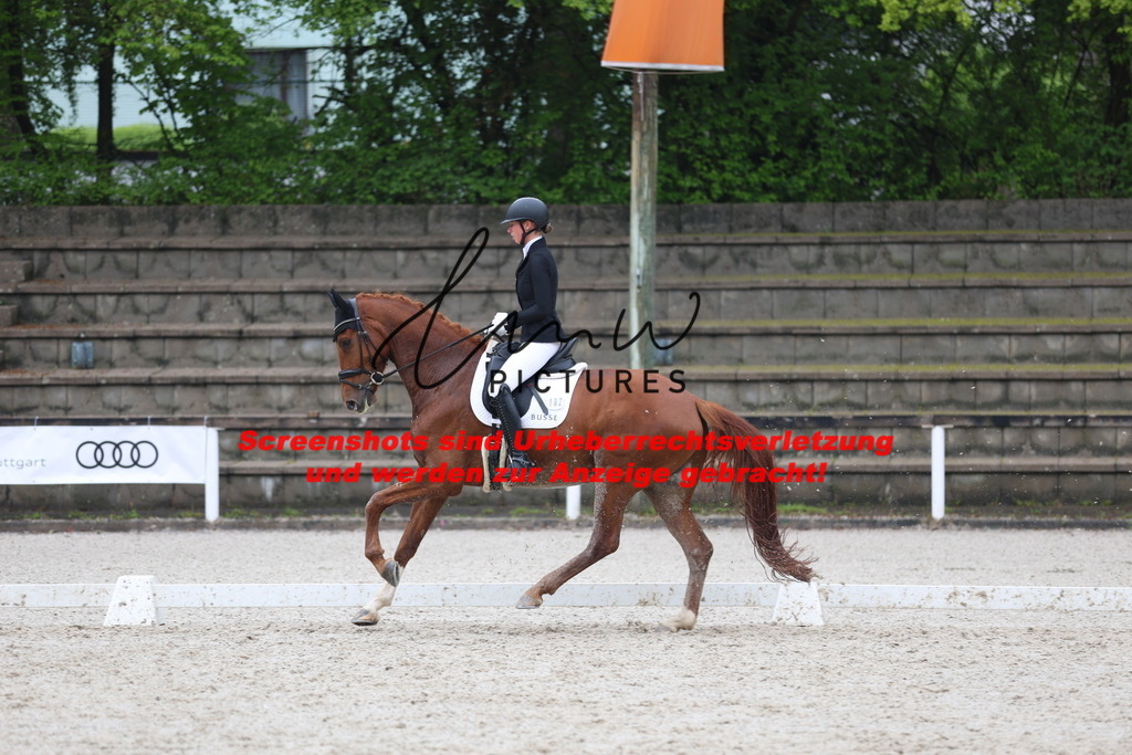 A40A8293 | lmwpictures - Realisiert mit Pictrs.com