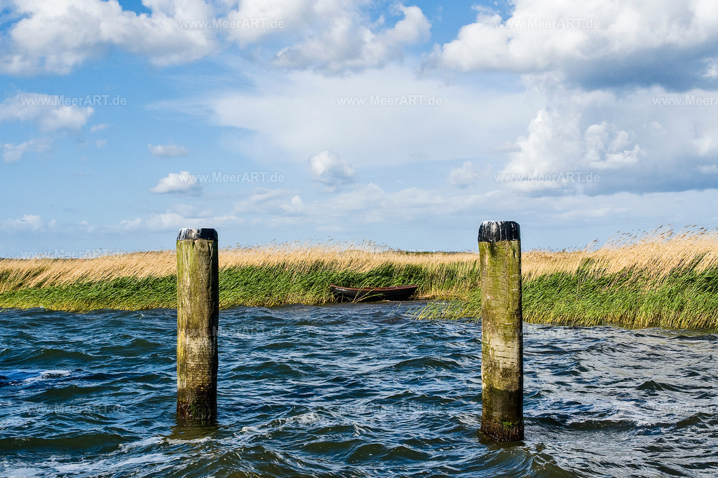 Rügen - Gager | Ein Ruderboot liegt bei herbstlicher Witterung im Schilf - Realisiert mit Pictrs.com