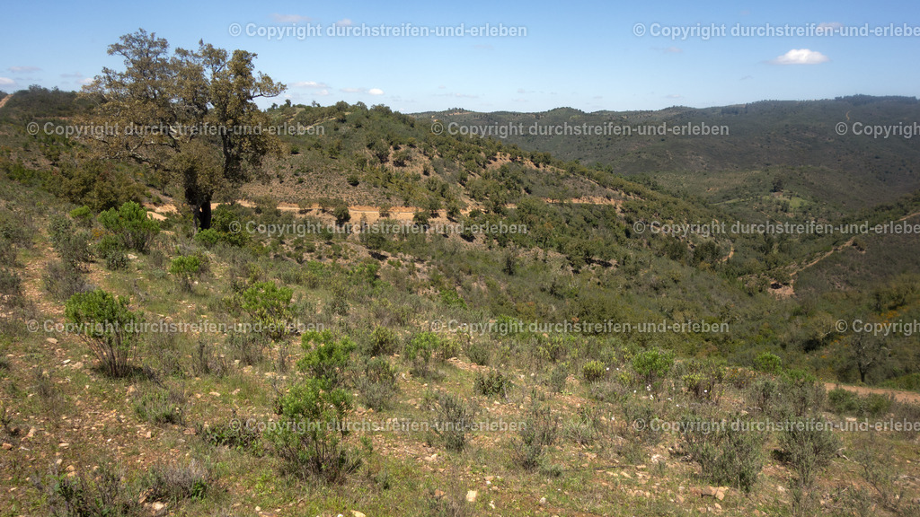 Per Rad durch die wilde Hügellandschaft nahe Cortelha, Serra do Caldeirão, Algarve | Per Rad durch die wilde Hügellandschaft nahe Cortelha, Serra do Caldeirão, Algarve - Realisiert mit Pictrs.com