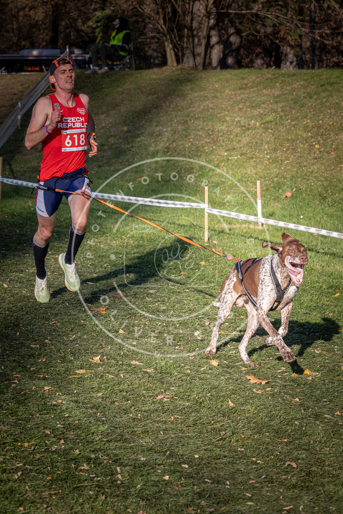CaniXpix_0L8A8754 | Hundefotografie, Tierfotograf, Pfotenfotografie, Fotoshooting Hund, Hunde Portrait, Hundesport, Hundeportraits, Heideshooting, Hunde, Sportfotograf, Hundefotograf, Turnierhundsport, THS,  - Realisiert mit Pictrs.com