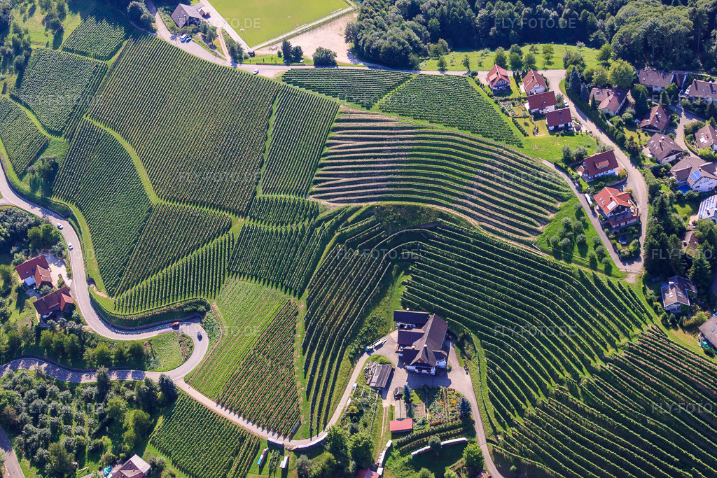Luftbild: Kappelrodeck, Weinberge bei Bernhardshöfe im Ortsteil Büchelbach in Sasbachwalden im Bundesland Baden-Württemberg in Deutschland. Foto: IMG_31493.jpg vom 09.08.2010 durch Werner Riehm/FLY-FOTO.de