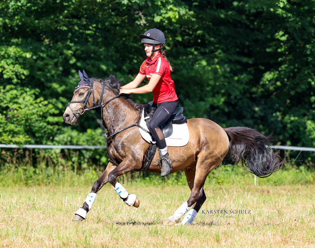 1B3A8015 | Reitsport Reiten