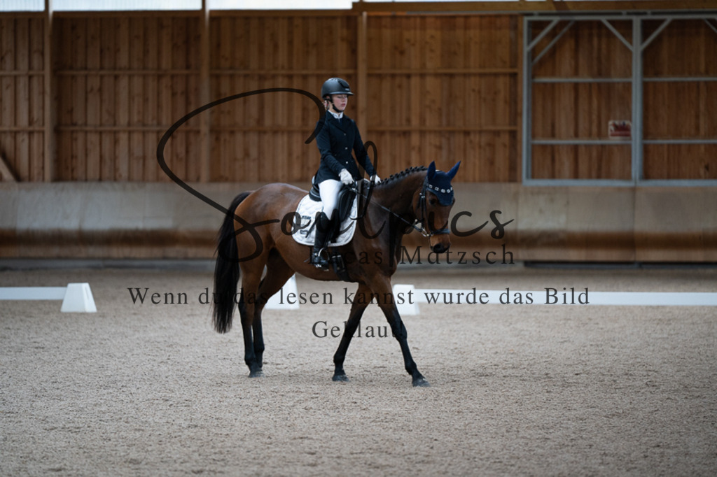 A7V02403 | Pferdefotograf