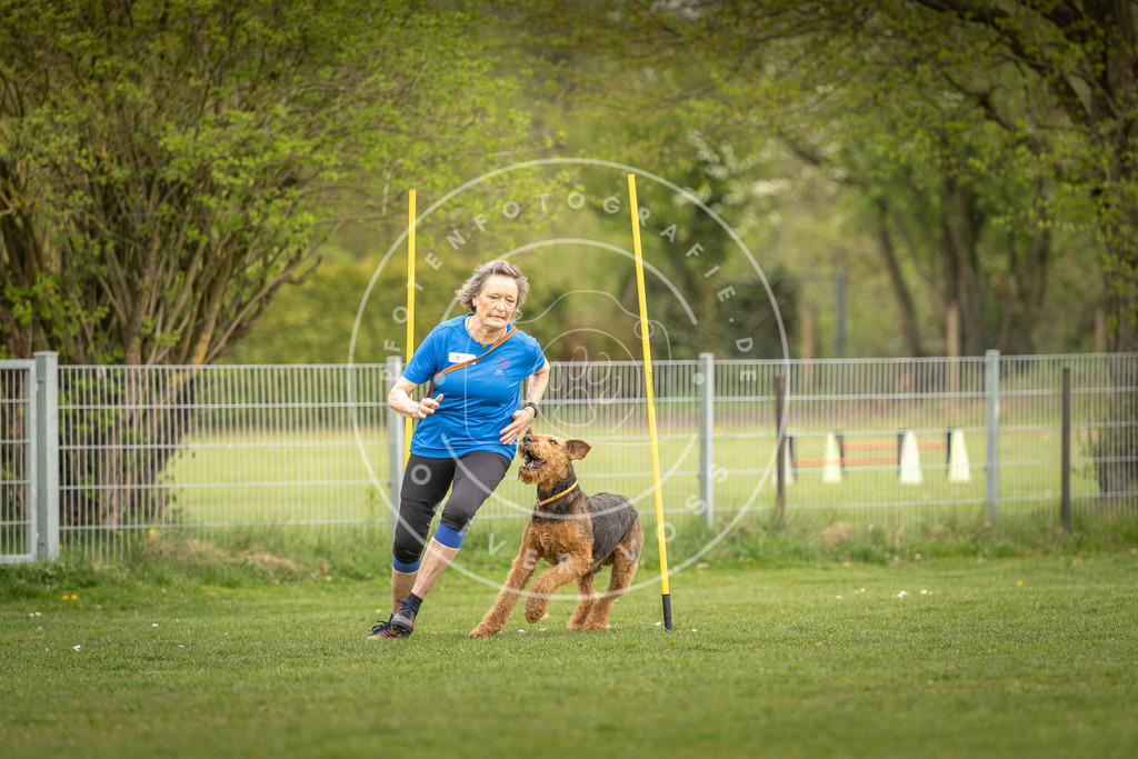 Pfotenfotografie_DV3A7521 | Hundefotografie, Tierfotograf, Pfotenfotografie, Fotoshooting Hund, Hunde Portrait, Hundesport, Hundeportraits, Heideshooting, Hunde, Sportfotograf, Hundefotograf, Turnierhundsport, THS,  - Realisiert mit Pictrs.com