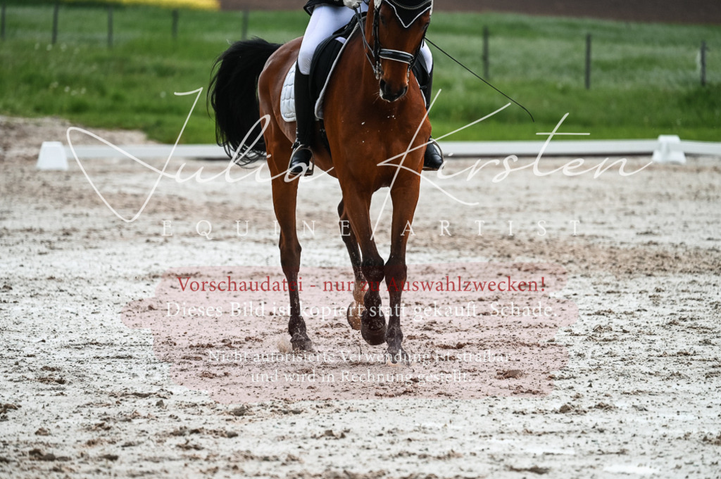 DSC_4376 | Pferde- und Turnierfotografie in Westsachsen. Pferdeportraits, Auftragszeichnungen und intuitive Kunst.