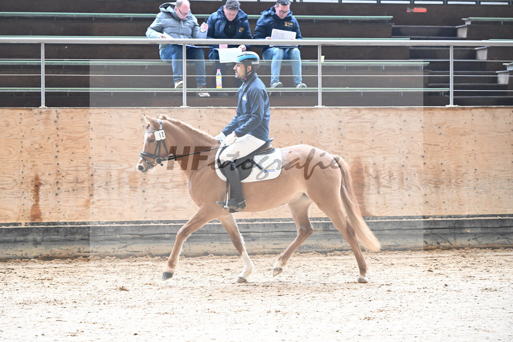 Kat-Nr. 12 Bye Bye Biene v. Dropje voor Dropje_Fraatz GbR_50250062 | hf-fotografie - Realisiert mit Pictrs.com