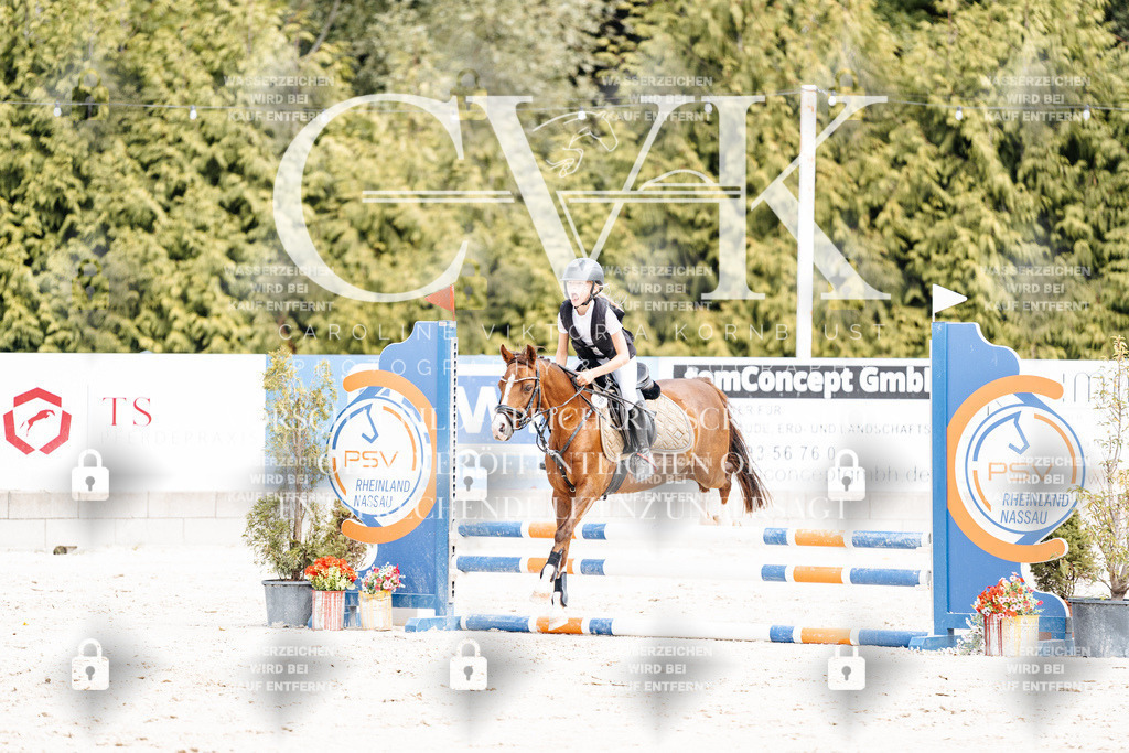 CK906762 | Turnierfotografie Pferdefotografie Trier Rheinland-Pfalz Pferdesport Reitsport Tierfotografie Sportfotografie Pferdevideo Pferdevideografie Equestrianvideography equestrianphotography  - Realisiert mit Pictrs.com