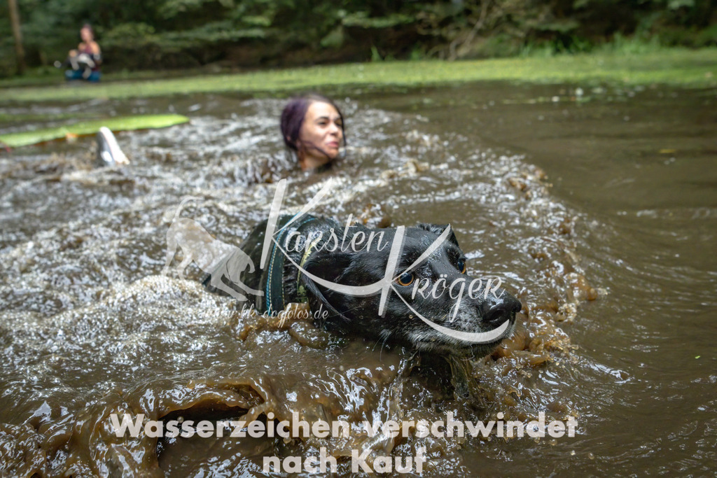 1532_ZZ91242-Bearbeitet | kk-dogfotos