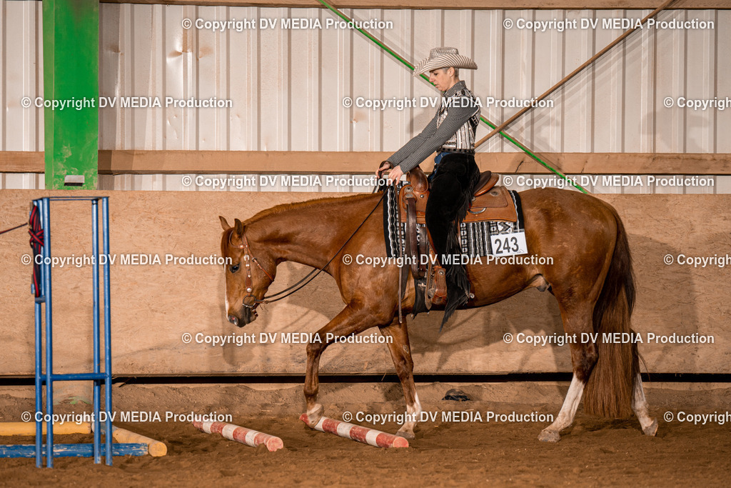 BA400208 | dv-media-shop - Realisiert mit Pictrs.com