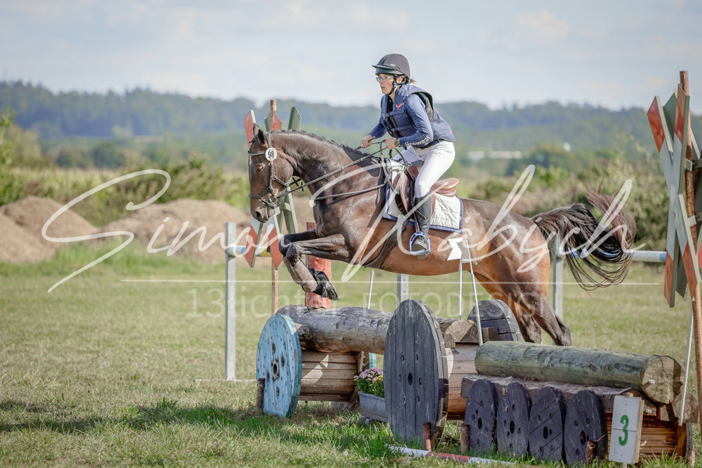 20250906-_3LI7068 | Tierfotografie Pferde, Hunde, Katzen, Haustiere.
Turnierfotografie Reitturniere, Reiten, Springreiten, Dressur in Hanau, dem Main-Kinzig-Kreis und dem Rhein-Main- Gebiet um Frankfurt