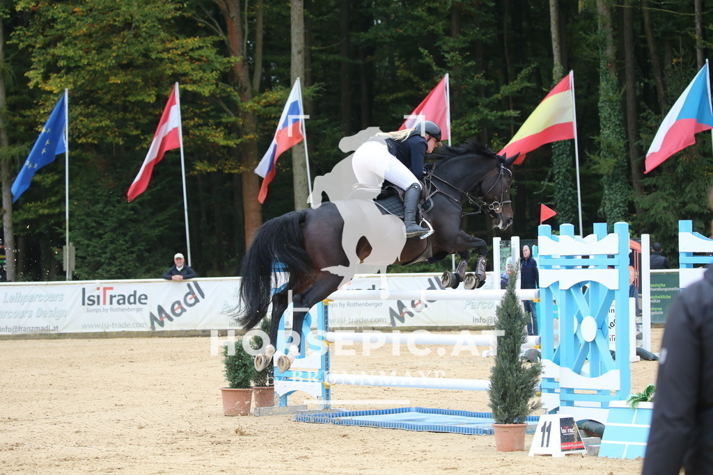 DL2Q1038 | Willkommen bei Brunnmayr - Design & Fotografie – Ihrem Spezialisten für Reitturniere und Pferdeveranstaltungen in Oberösterreich, Salzburg und Bayern! Seit über 17 Jahren sind wir leidenschaftlich dabei.