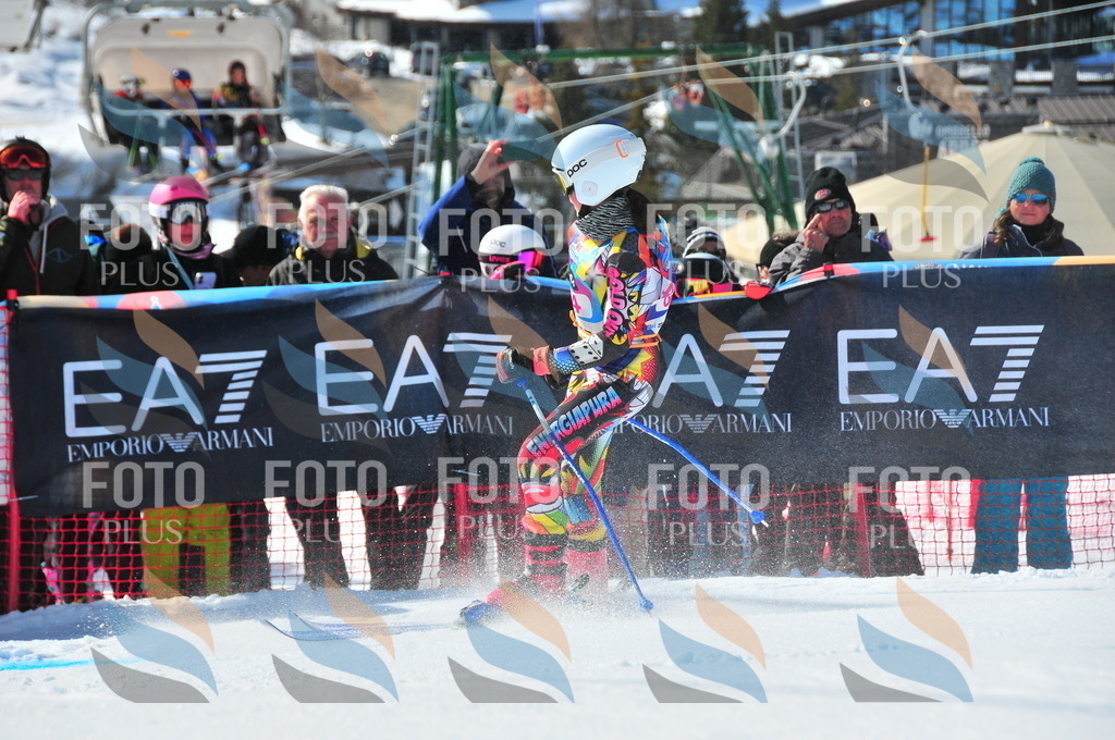 DSC_4434 | holidayphoto