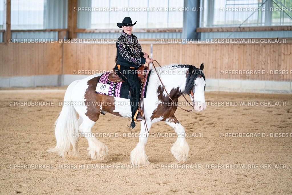 DSC02142 | Pferdegrafie