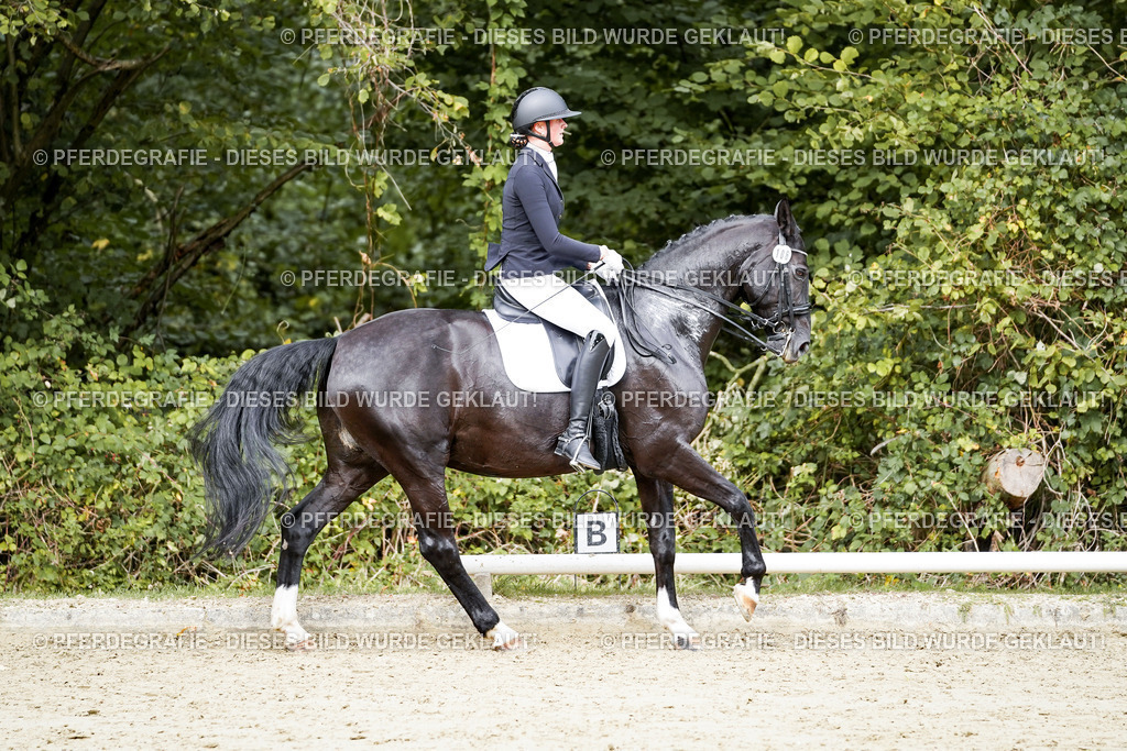 DSC05437 | Pferdegrafie