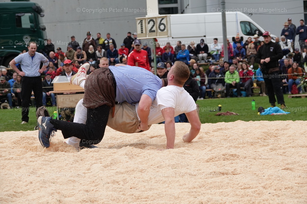 DSC03241 | Schwingen - Realisiert mit Pictrs.com