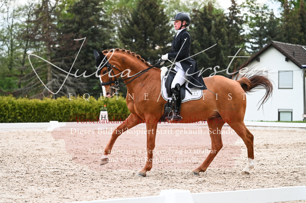 20230513_JK-Röhrsdorf-13-571 | Pferde- und Turnierfotografie in Westsachsen. Pferdeportraits, Auftragszeichnungen und intuitive Kunst.