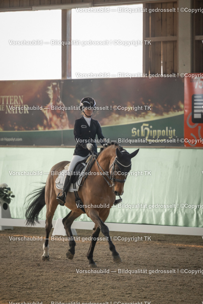 _D5A3862 | Emotionale Pferde- & People-Fotografie rund um Heidelberg, Leimen & Umgebung. Natürliche Fotos von Pferd, Mensch & Familie. Jetzt Termin sichern!