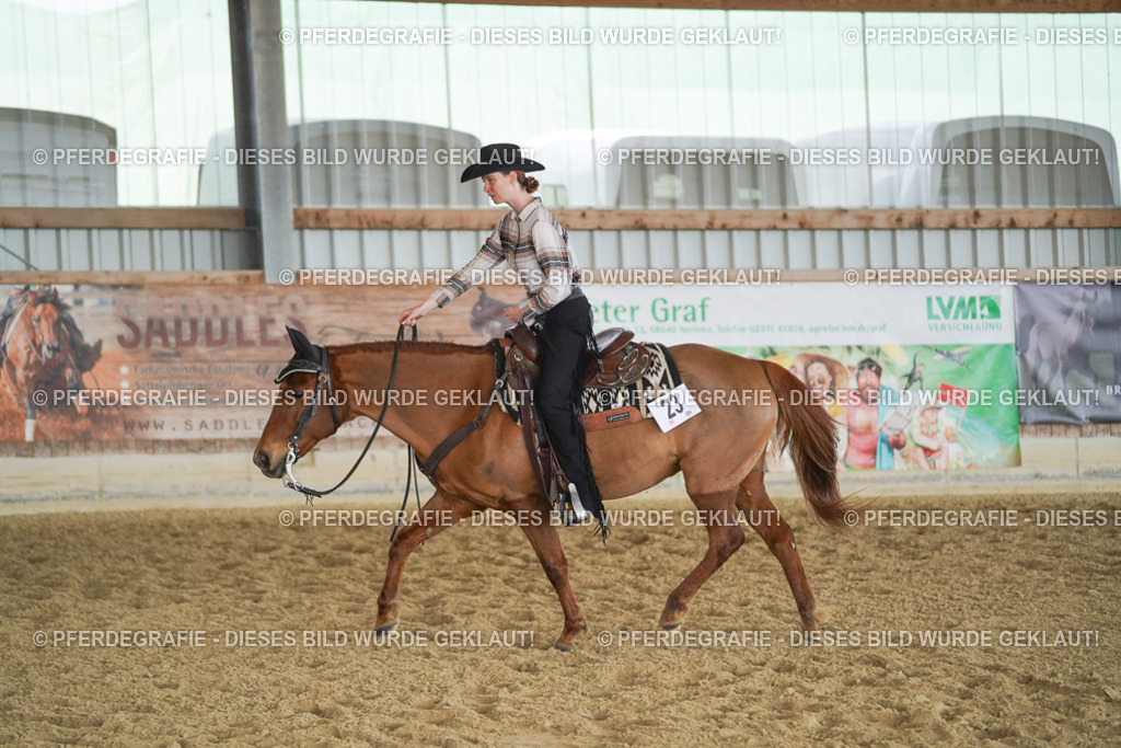 DSC00085 | Pferdegrafie