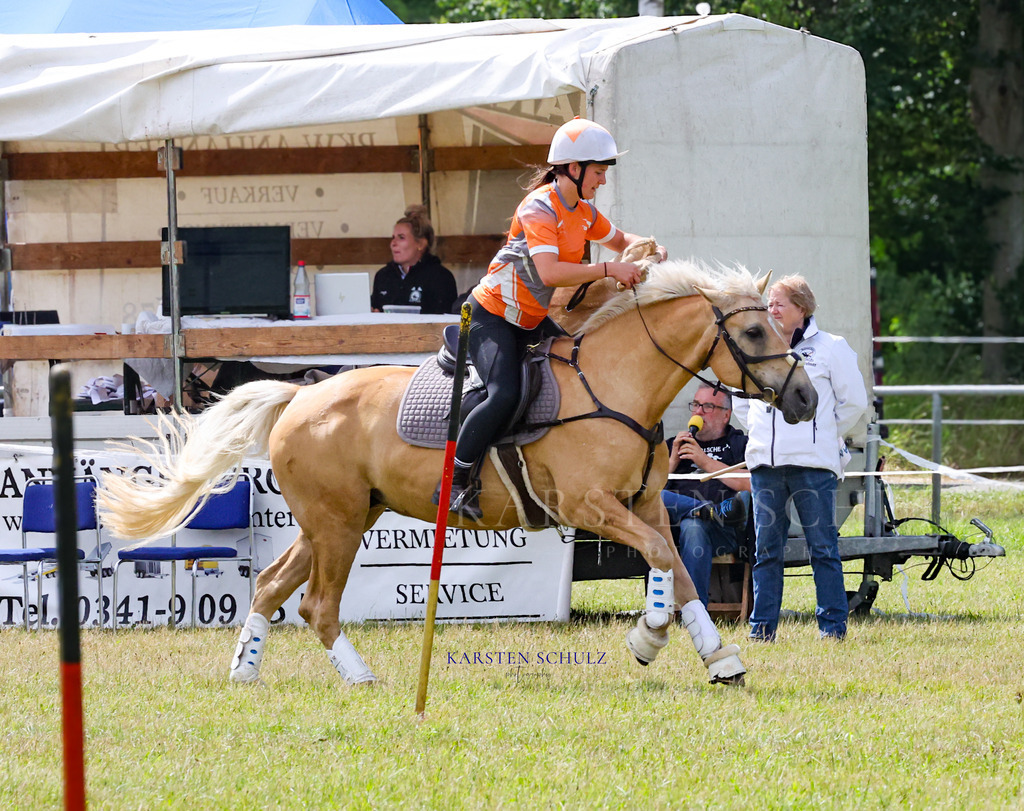 1B3A4645 | Reitsport Reiten