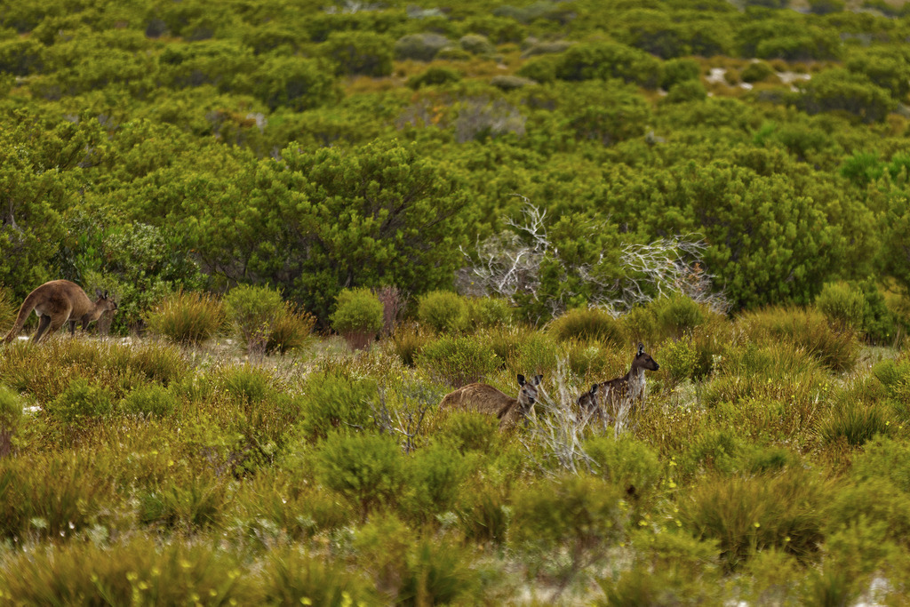 1H5A6318 | ansichtssache