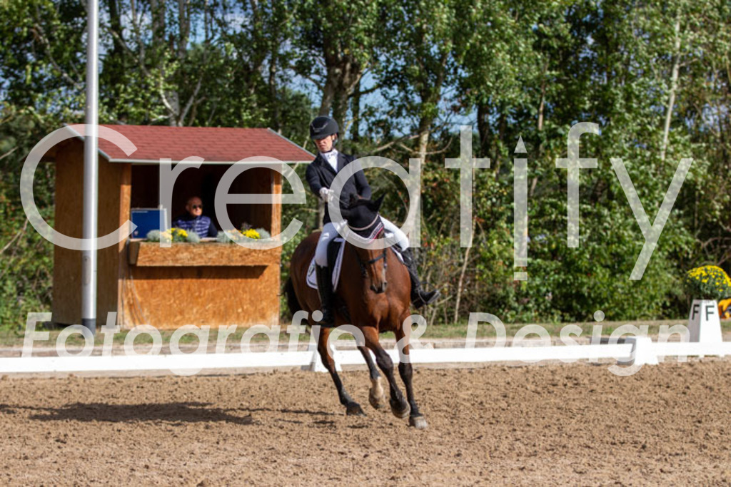 IMG_5312 | Creatify Fotografie