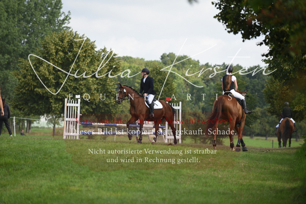 DSC_8617 | Pferde- und Turnierfotografie in Westsachsen. Pferdeportraits, Auftragszeichnungen und intuitive Kunst.