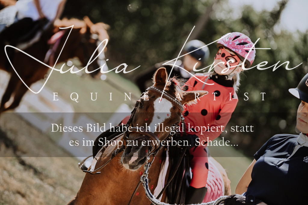 DSC_8825 | Pferde- und Turnierfotografie in Westsachsen. Pferdeportraits, Auftragszeichnungen und intuitive Kunst.