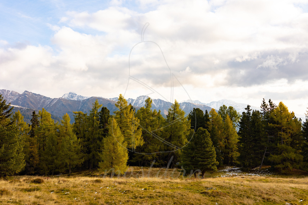 Fanningberg Herbst | Bei Veröffentlichung des Bildes ist eine Namensnennung wie folgt erforderlich: 
Foto: Mostdirn Irmgard Wieser - Realisiert mit Pictrs.com