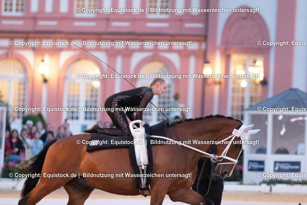 20230527_Voltigieren_NASPA_Flutlicht_0435 | equistock