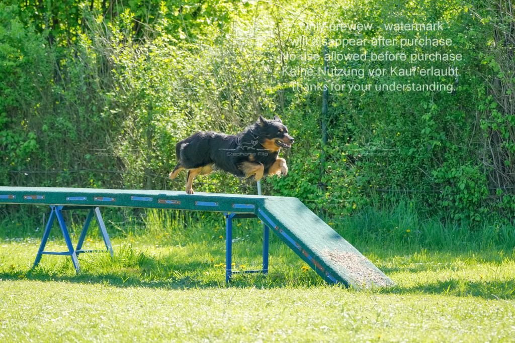 Sa_VK3_03-14 | stephaniefillaphotographie - Realisiert mit Pictrs.com